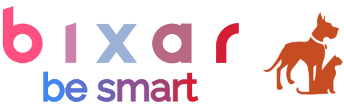 Bixar — be smart