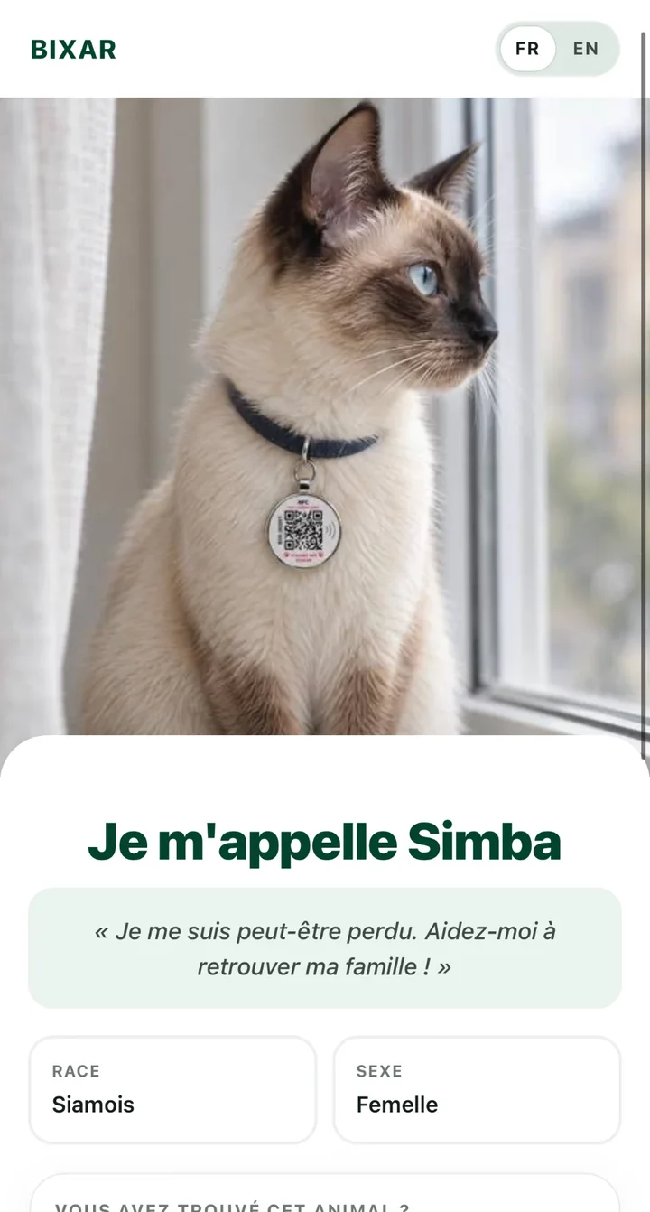 Page id.bixar.co ouverte dans un navigateur : la fiche « Je m’appelle Simba »