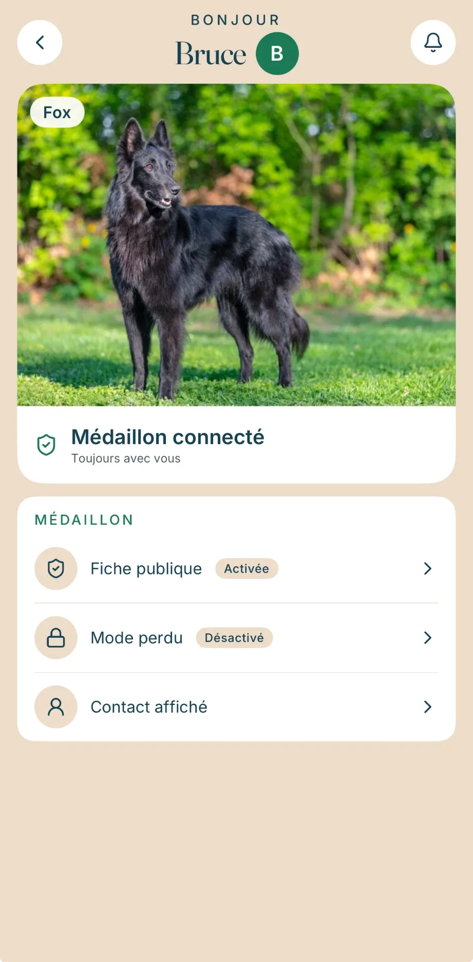 Accueil de l’application : Fox, médaillon connecté